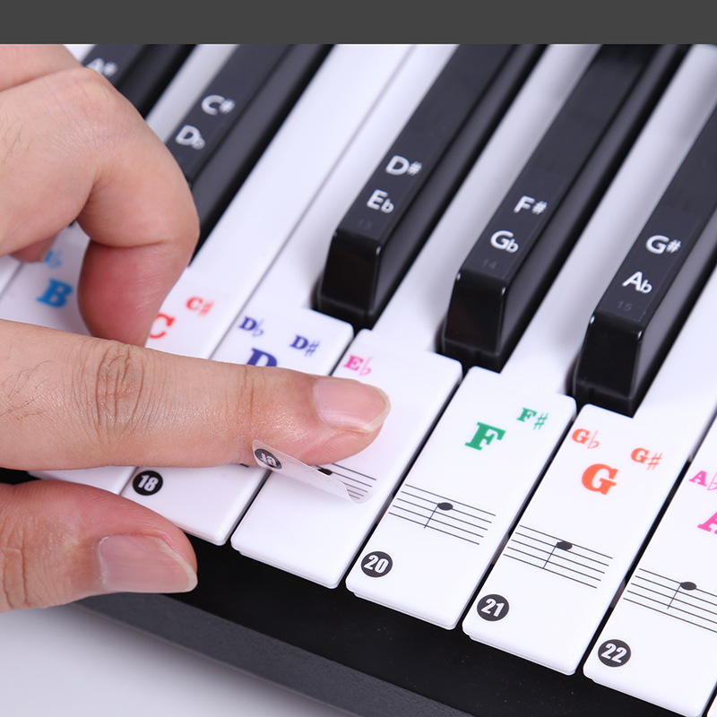 Stiker Keyboard Piano Transpar - Keyboard Piano 61 Key ulasan dan harga