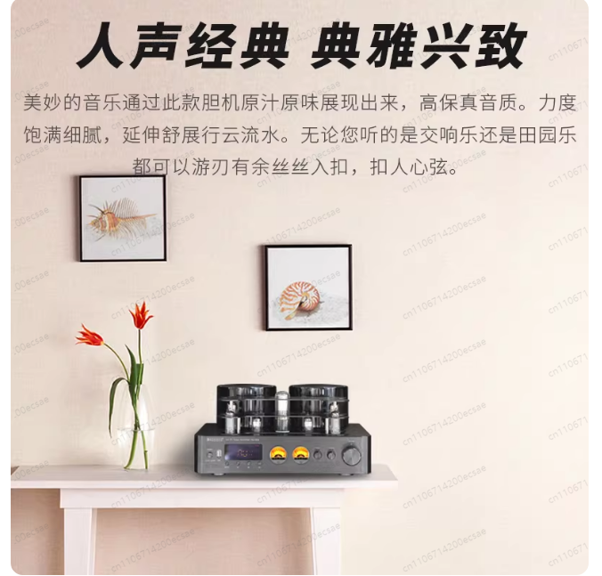 Penguat Daya Tabung Nirkabel H - Audio Music In Youtube ulasan dan harga